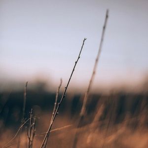 Adaptive Clothing Question